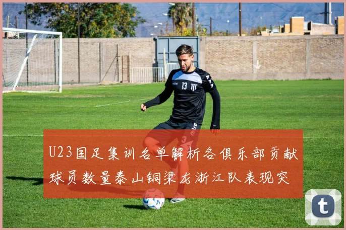 U23国足集训名单解析各俱乐部贡献球员数量泰山铜梁龙浙江队表现突出